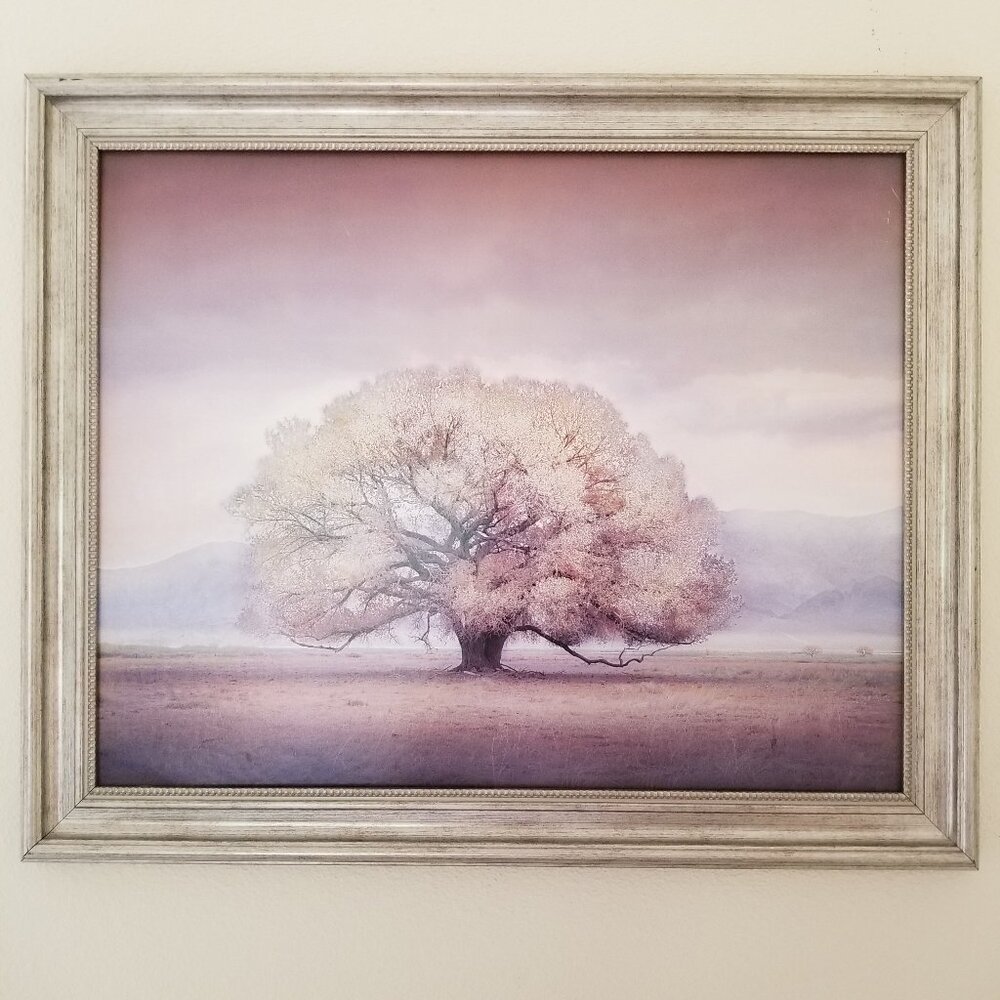 Silver tree in a fog print framed in a wood frame with a silver finish. No glass